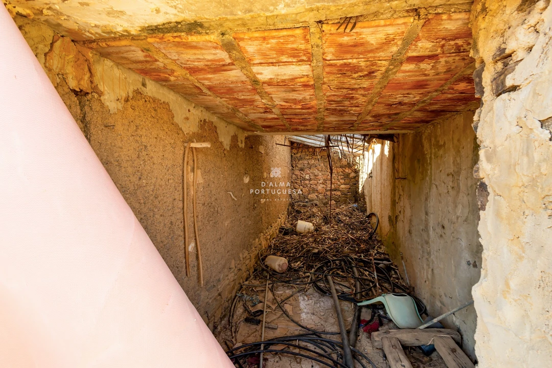 Terreno para Venda em São Bartolomeu de Messines Foto 9