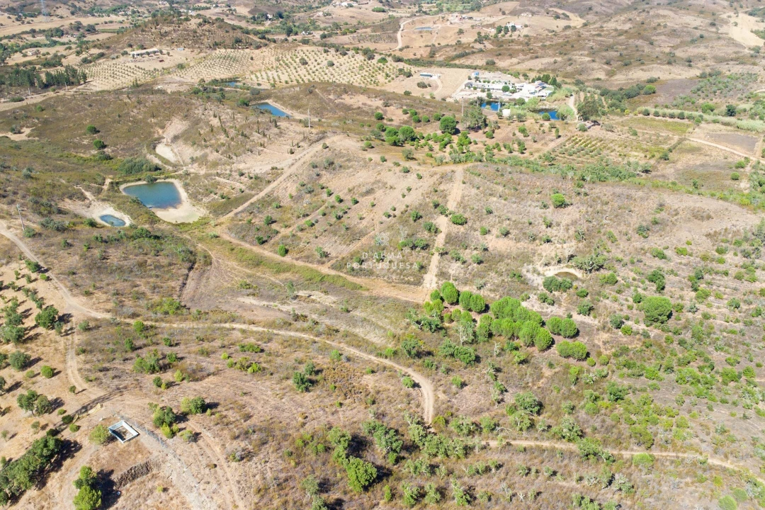 Terreno para Venda em São Bartolomeu de Messines Foto 19