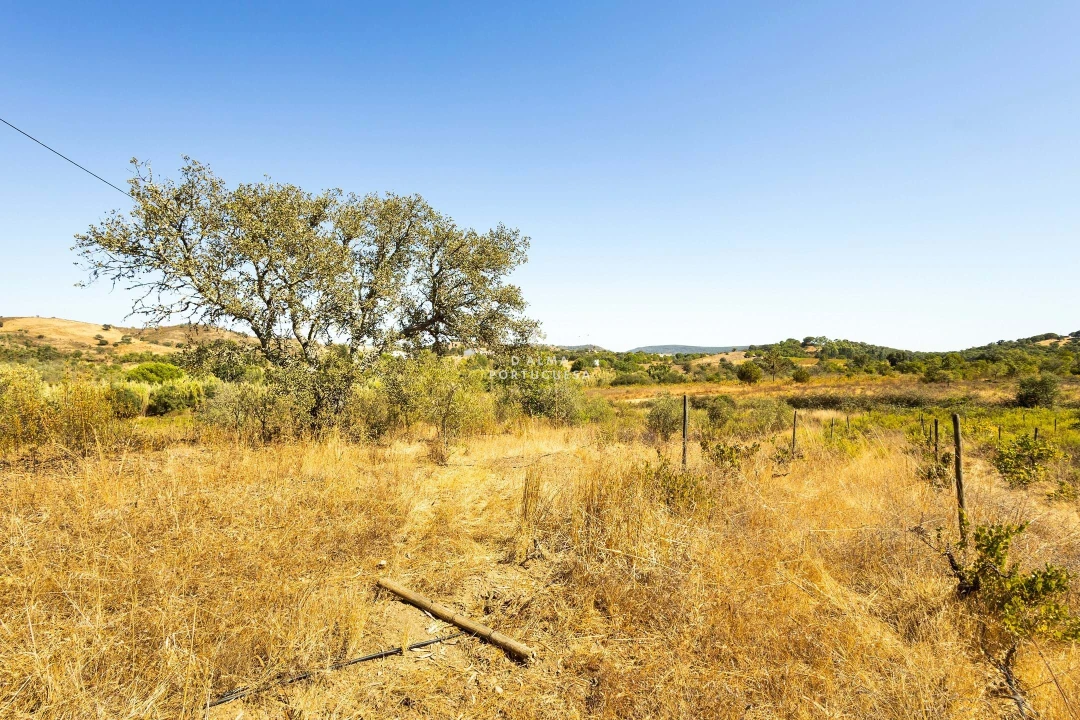 Terreno para Venda em São Bartolomeu de Messines Foto 15