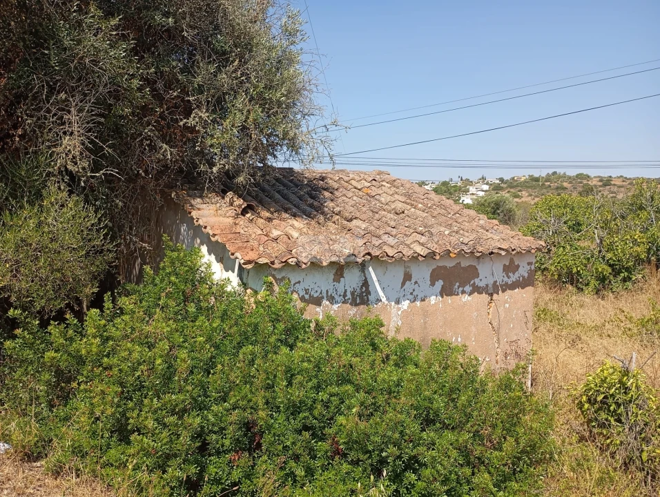 Terreno para Venda em Lagos (São Sebastião e Santa Maria) Foto 5