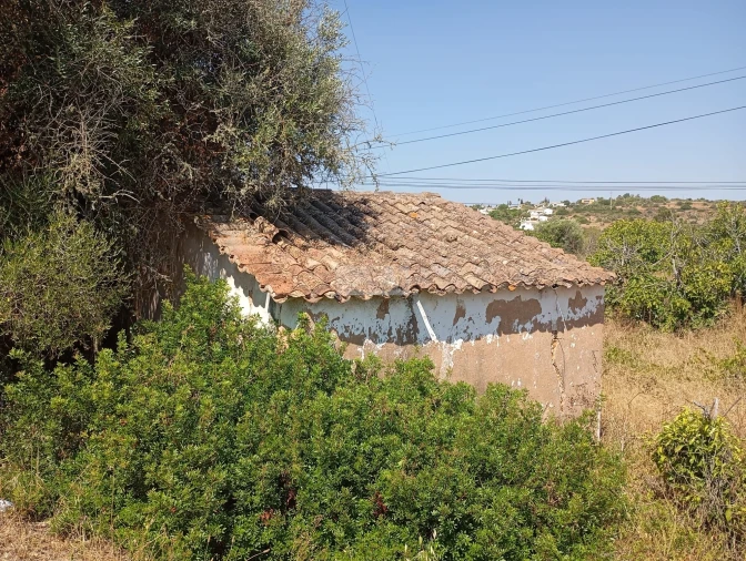 Terreno para Venda em Lagos (São Sebastião e Santa Maria) Foto 5