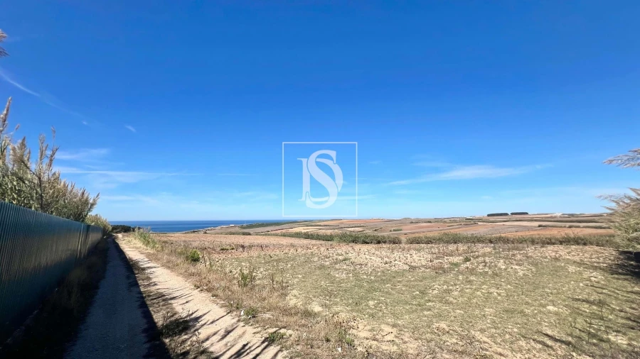 Negócio para Venda em Lourinhã e Atalaia Foto 10