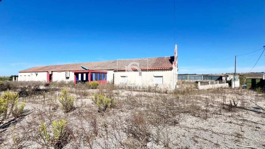 Negócio para Venda em Lourinhã e Atalaia