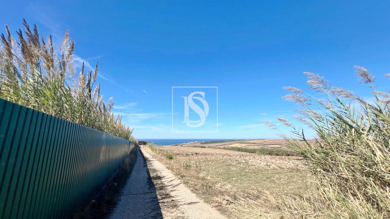 Negócio para Venda em Lourinhã e Atalaia Foto 4