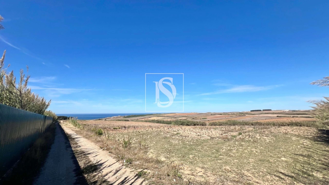 Negócio para Venda em Lourinhã e Atalaia Foto 10