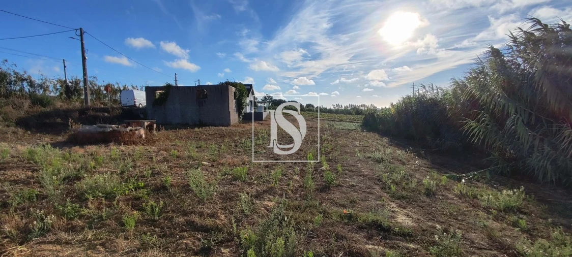 Moradia T3 para Venda em Moita dos Ferreiros Foto 43