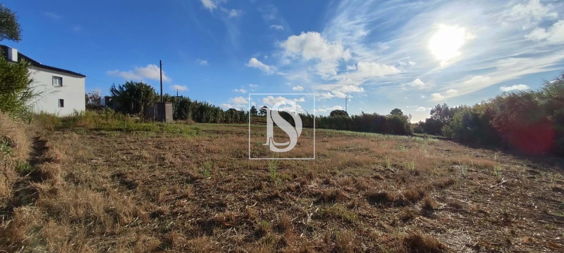 Moradia T3 para Venda em Moita dos Ferreiros Foto 46