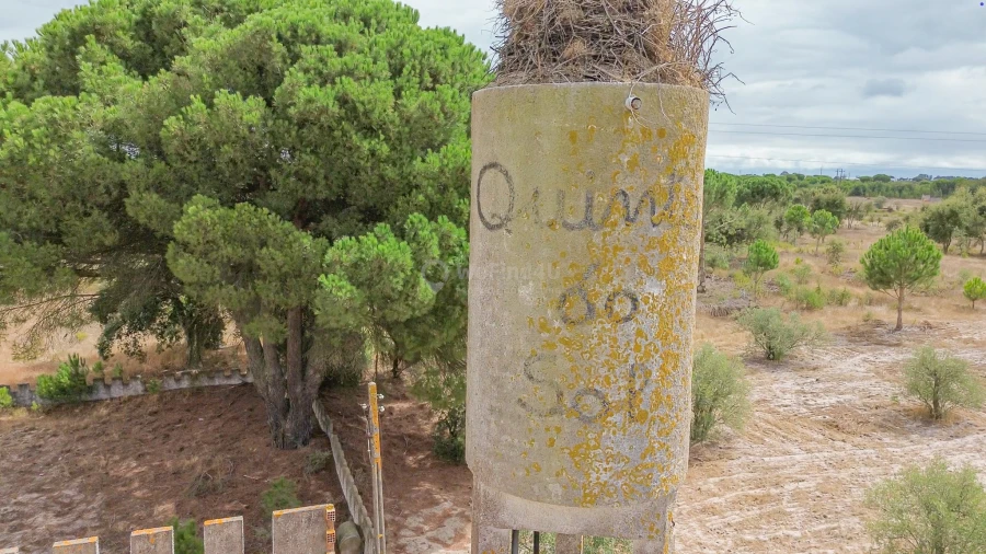 Quinta T4 para Venda em Pegões Foto 2