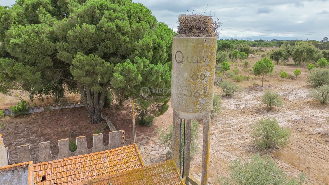 Quinta T4 para Venda em Pegões Foto 62