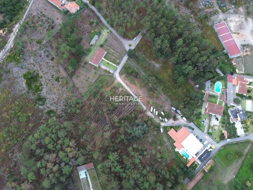 Terreno para Venda em São Romão de Neiva Foto 23