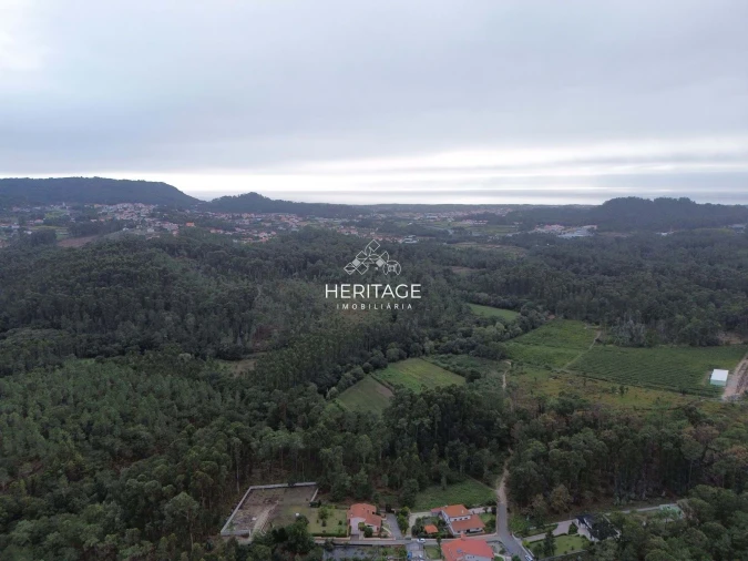 Terreno para Venda em São Romão de Neiva Foto 16