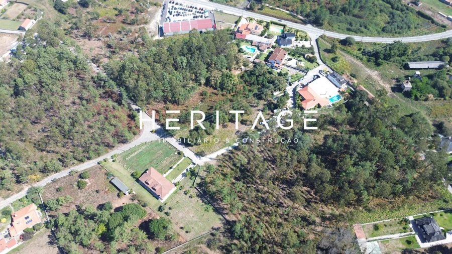 Terreno para Venda em São Romão de Neiva Foto 13