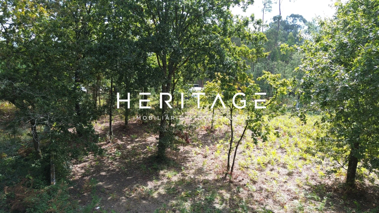 Terreno para Venda em São Romão de Neiva Foto 10