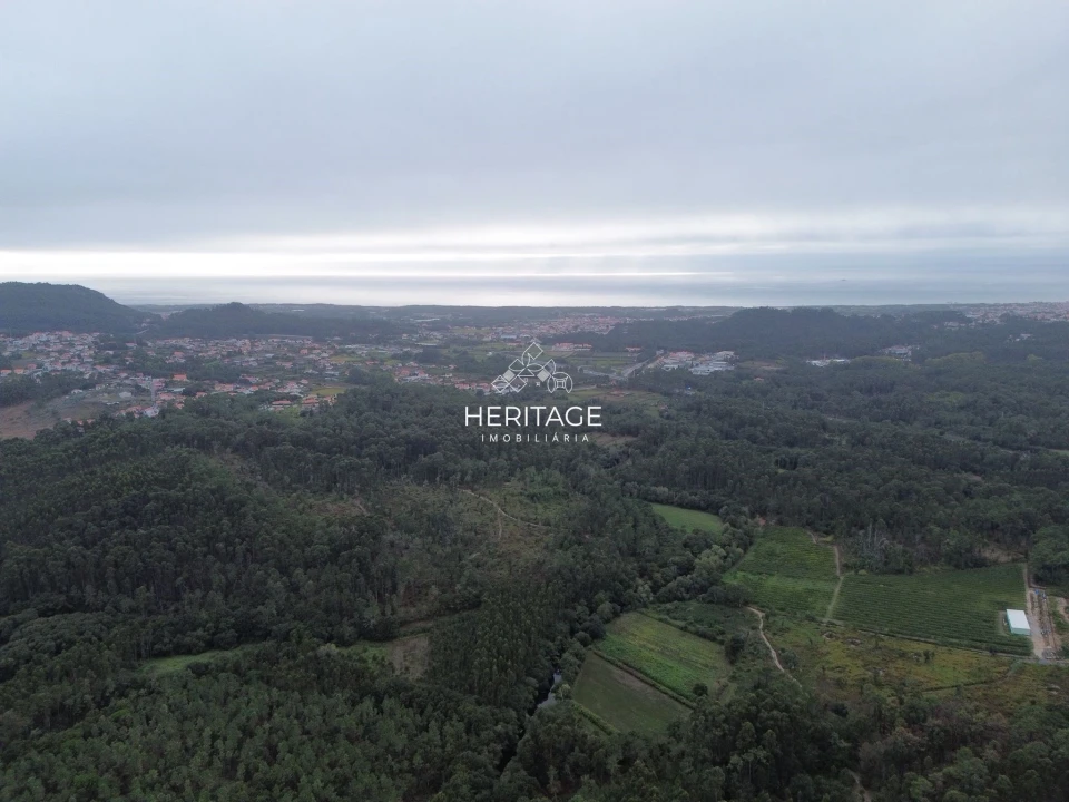 Terreno para Venda em São Romão de Neiva Foto 18