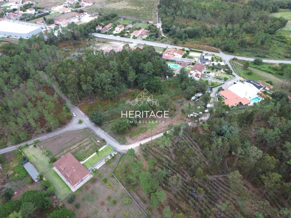 Terreno para Venda em São Romão de Neiva Foto 2