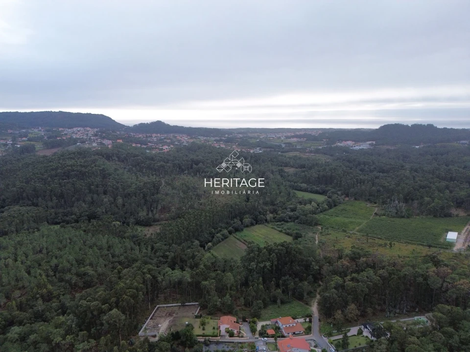 Terreno para Venda em São Romão de Neiva Foto 17