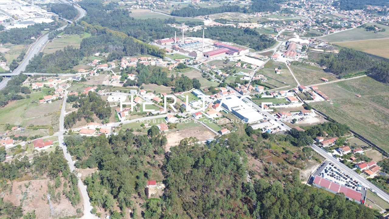 Terreno para Venda em São Romão de Neiva Foto 15