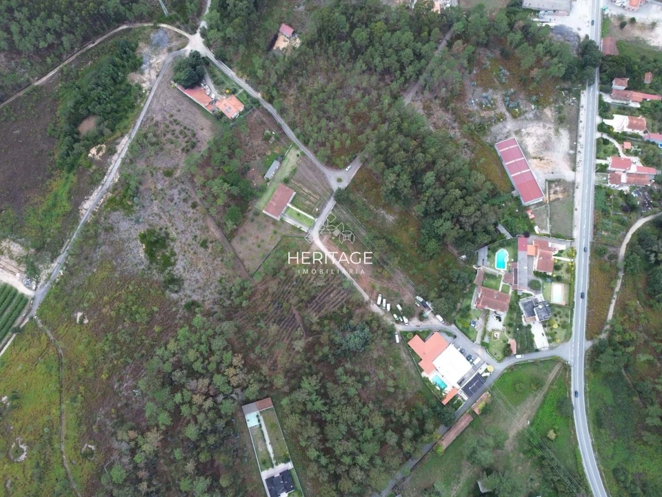 Terreno para Venda em São Romão de Neiva Foto 23