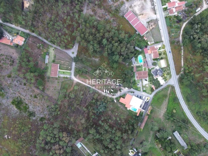 Terreno para Venda em São Romão de Neiva Foto 4