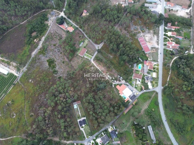 Terreno para Venda em São Romão de Neiva Foto 22