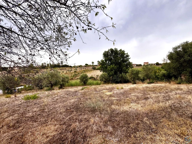 Moradia T3 para Venda em São Pedro de Tomar Foto 30