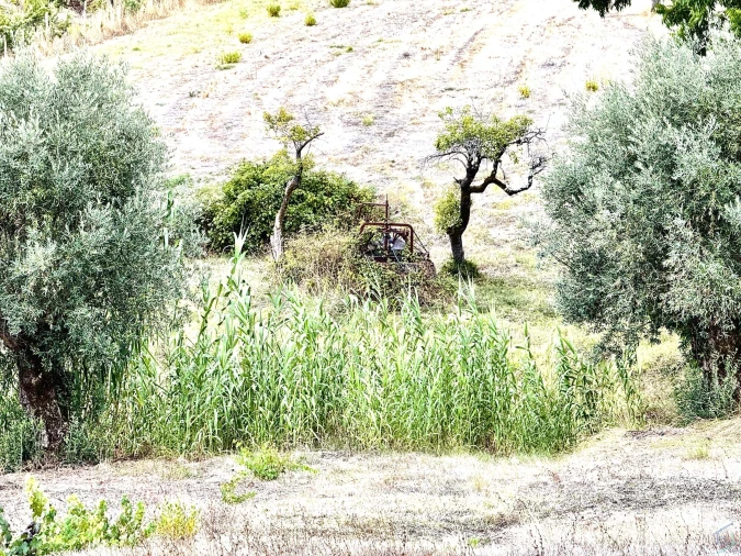 Moradia T3 para Venda em São Pedro de Tomar Foto 32