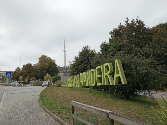 Moradia T4 para Venda em Oliveira do Douro Foto 80