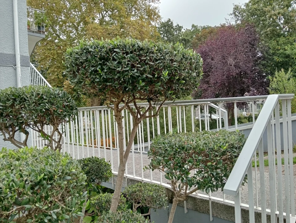 Moradia T4 para Venda em Oliveira do Douro Foto 66