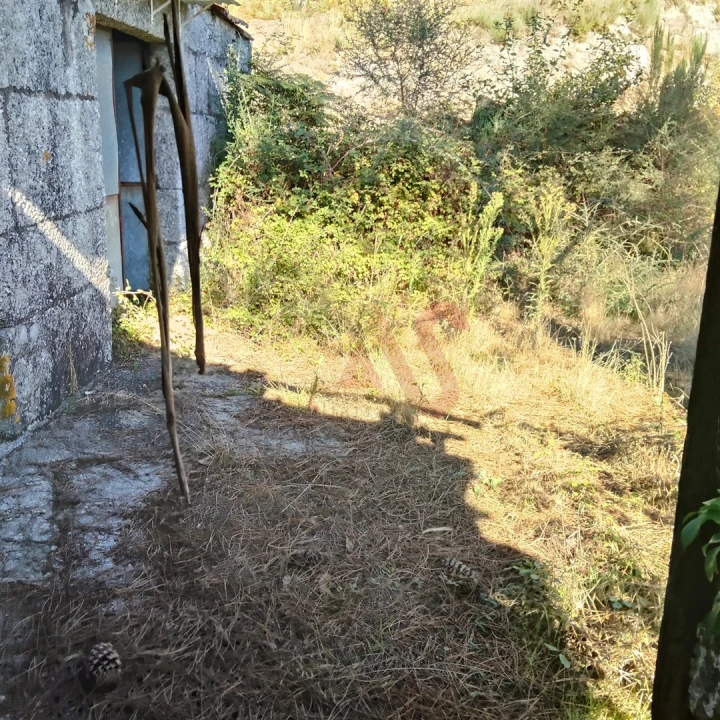 Moradia T3 para Venda em Ardegão, Arnozela e Seidões Foto 6