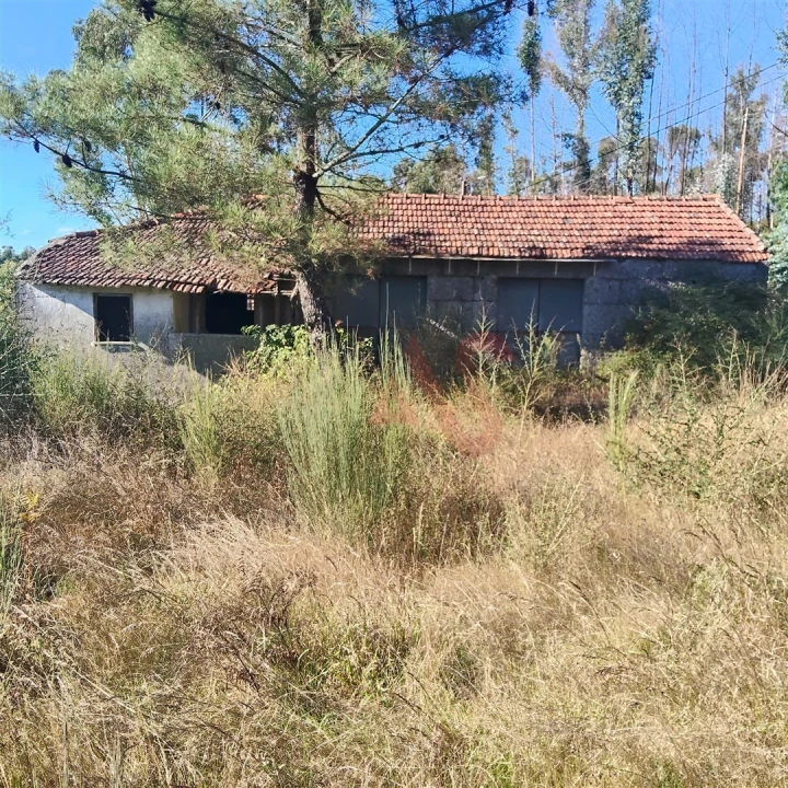 Moradia T3 para Venda em Ardegão, Arnozela e Seidões Foto 16