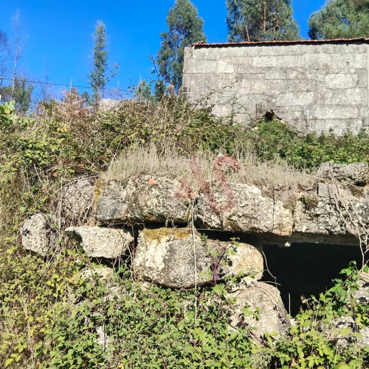 Moradia T3 para Venda em Ardegão, Arnozela e Seidões Foto 4