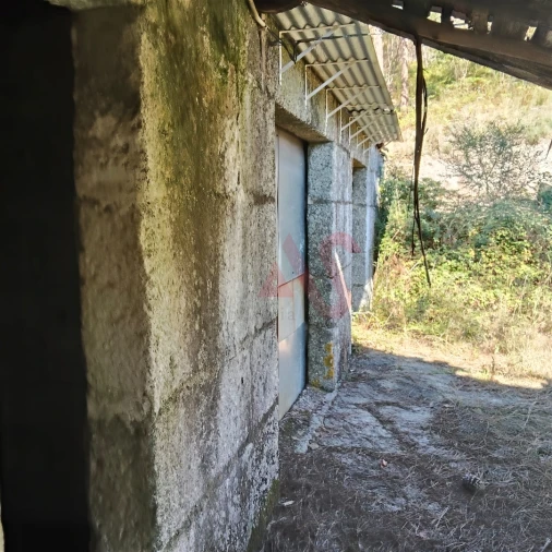 Moradia T3 para Venda em Ardegão, Arnozela e Seidões Foto 9