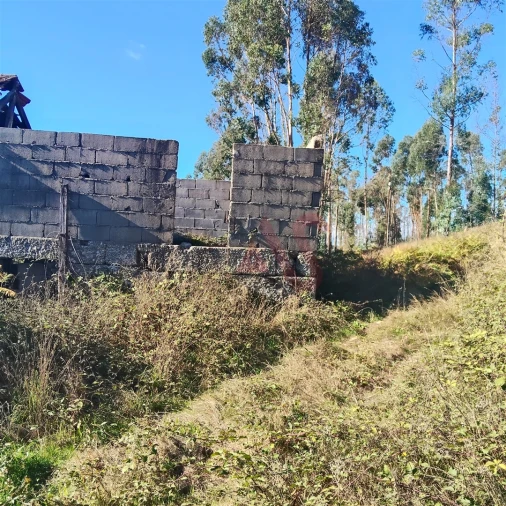 Moradia T3 para Venda em Ardegão, Arnozela e Seidões Foto 3