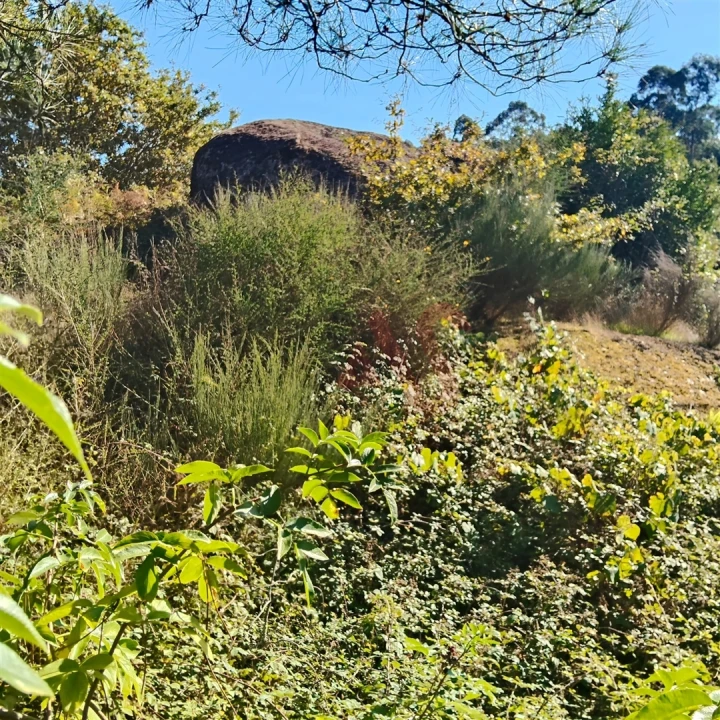 Moradia T3 para Venda em Ardegão, Arnozela e Seidões Foto 7