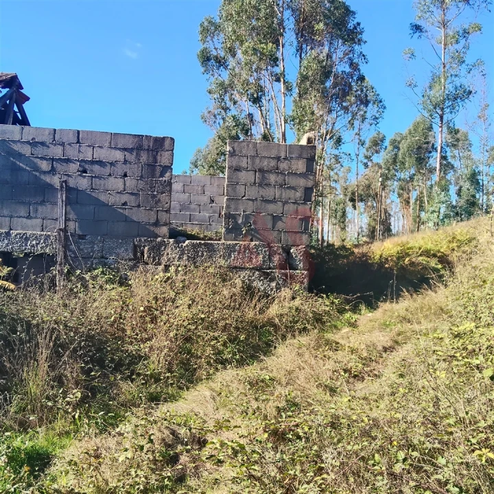 Moradia T3 para Venda em Ardegão, Arnozela e Seidões Foto 3
