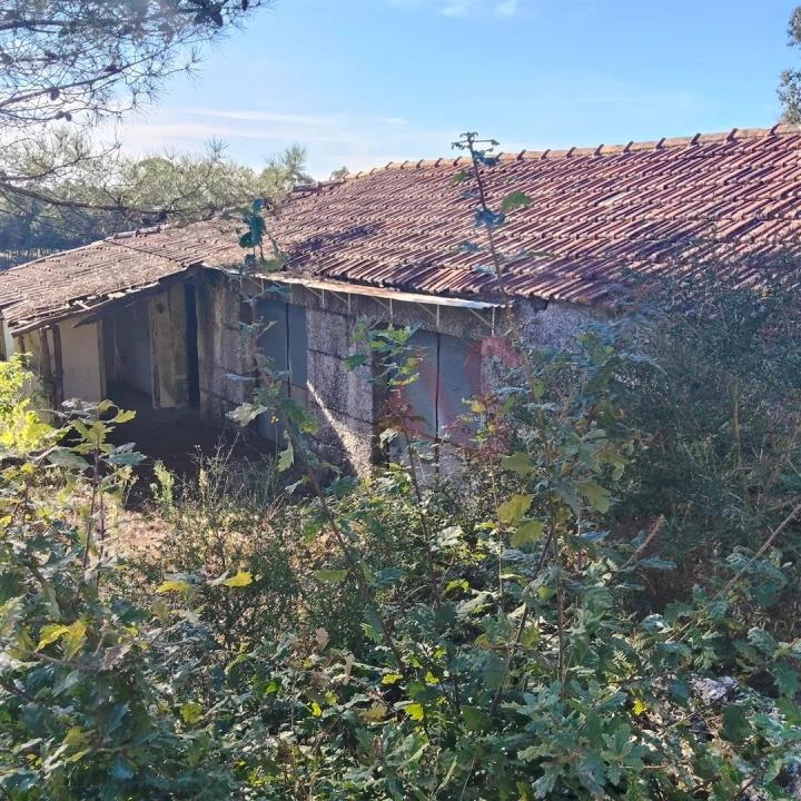 Moradia T3 para Venda em Ardegão, Arnozela e Seidões Foto 17