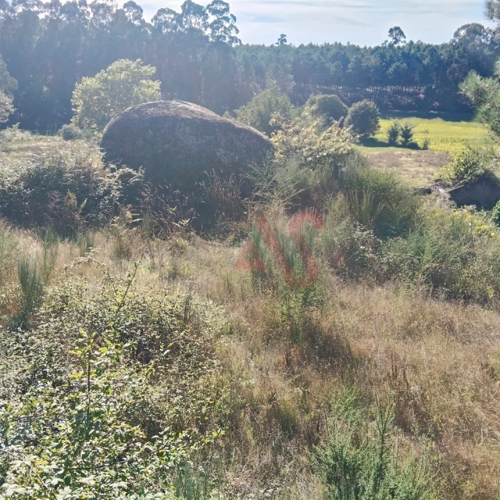 Moradia T3 para Venda em Ardegão, Arnozela e Seidões Foto 15