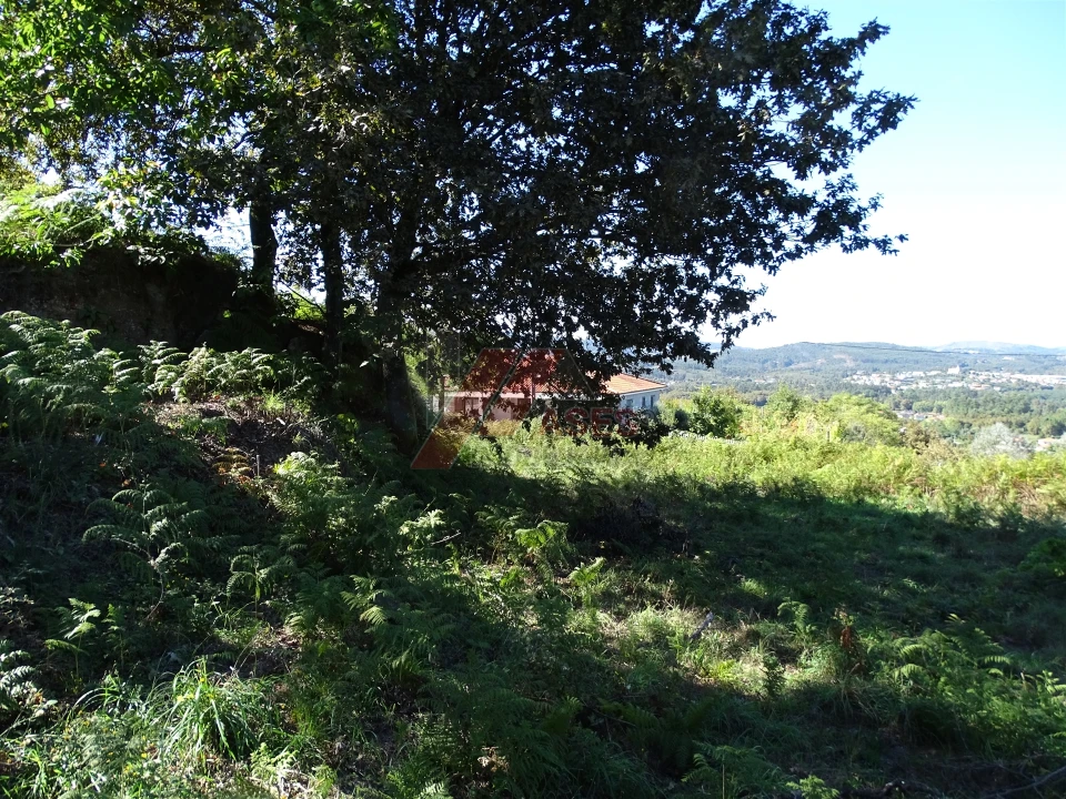 Terreno para Venda em Agrela e Serafão Foto 4