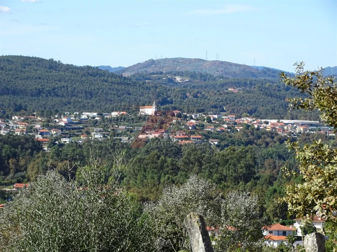 Terreno para Venda em Agrela e Serafão Foto 17