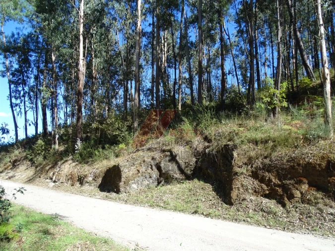 Terreno para Venda em Agrela e Serafão Foto 9