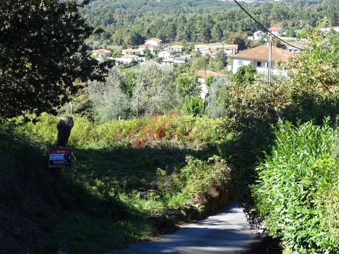 Terreno para Venda em Agrela e Serafão Foto 1