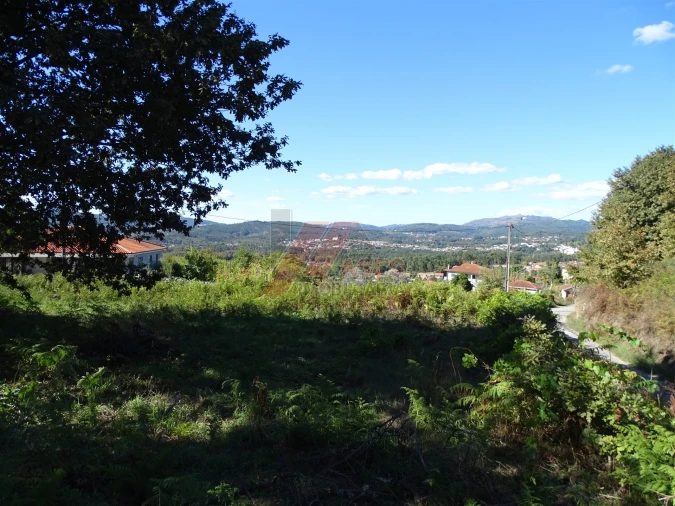 Terreno para Venda em Agrela e Serafão Foto 3