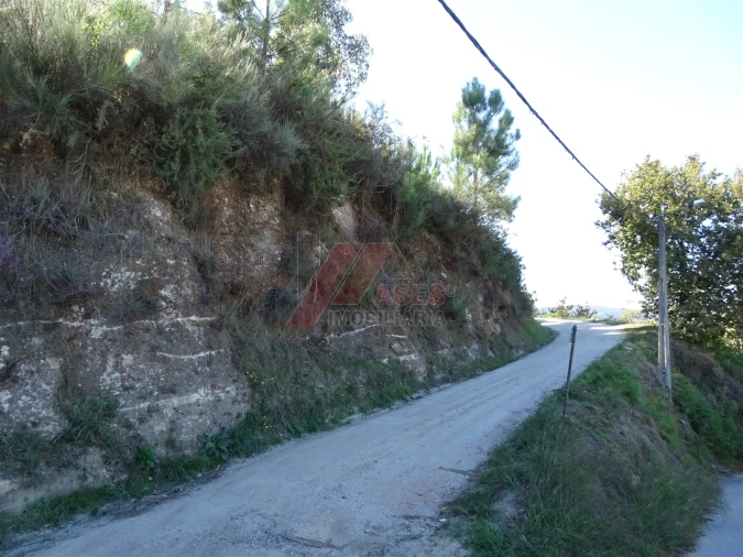 Terreno para Venda em Agrela e Serafão Foto 11
