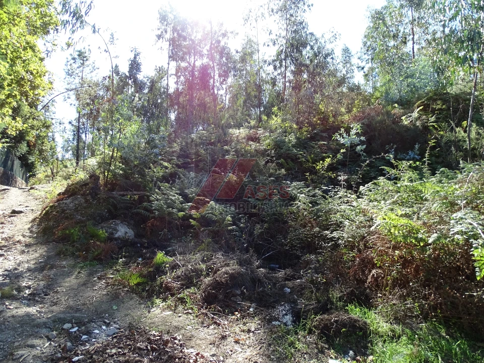 Terreno para Venda em Agrela e Serafão Foto 10