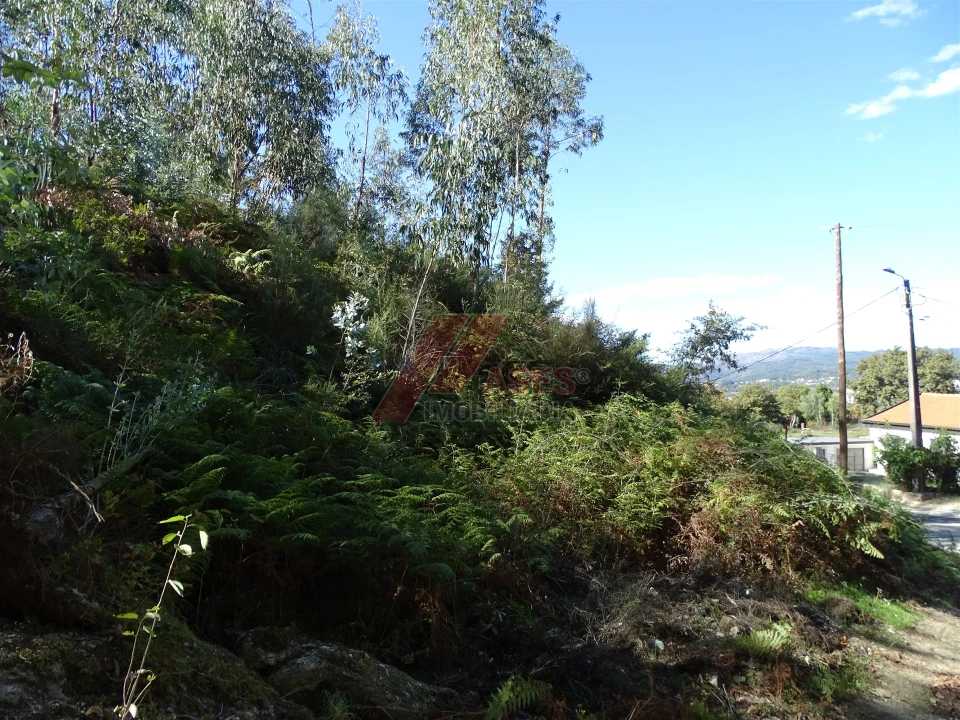 Terreno para Venda em Agrela e Serafão Foto 5