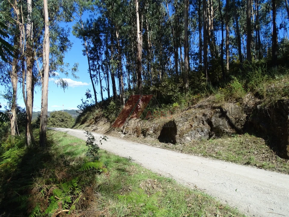 Terreno para Venda em Agrela e Serafão Foto 14