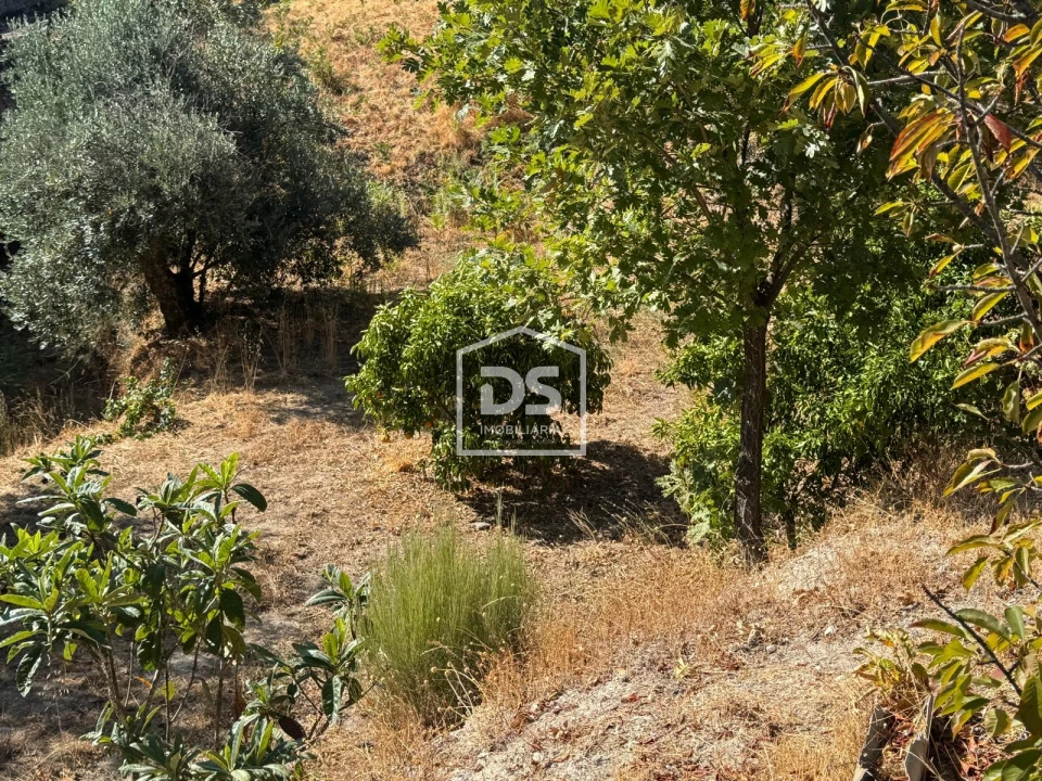 Quinta T0 para Venda em Vela Foto 7