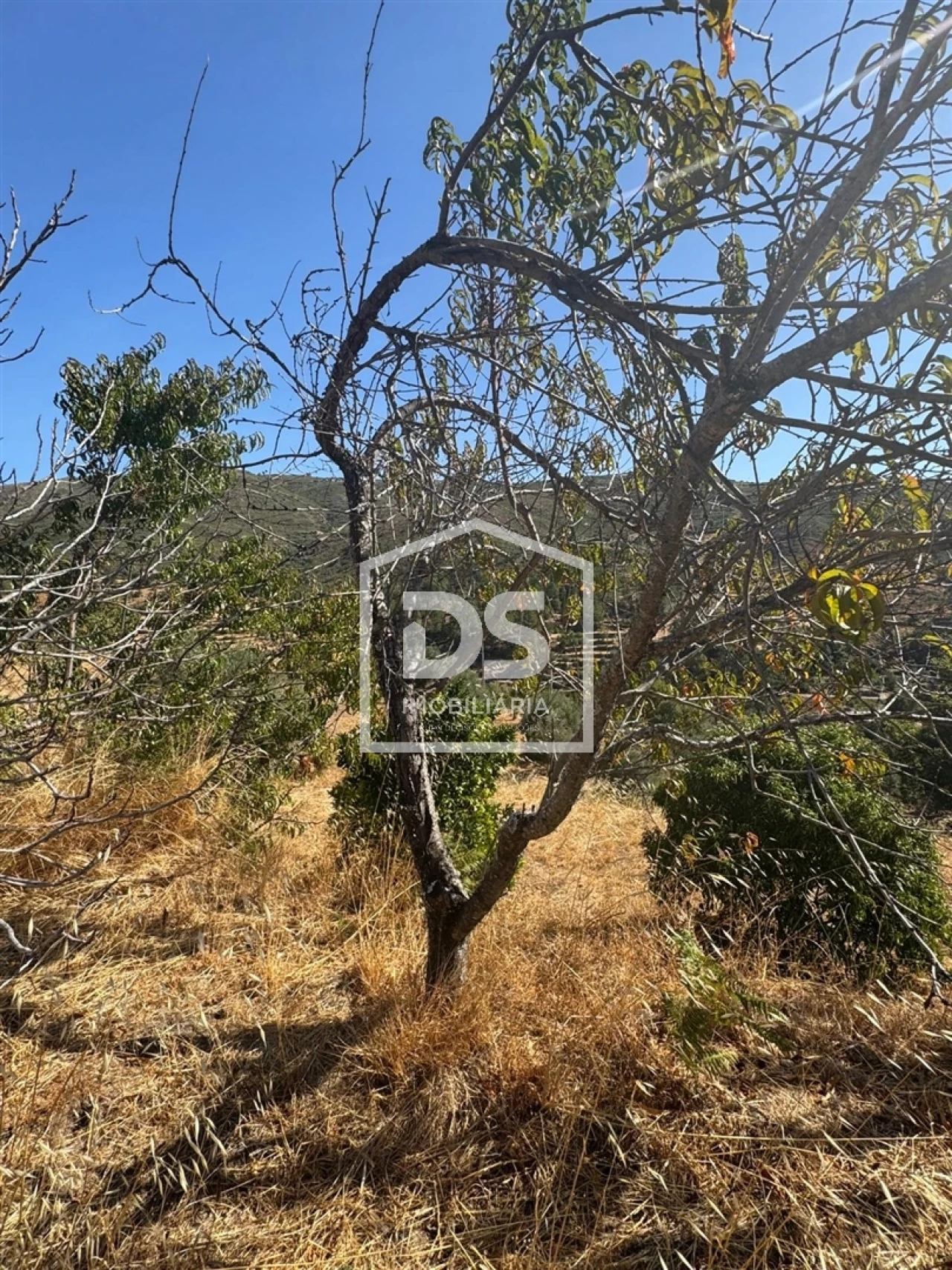 Quinta T0 para Venda em Vela Foto 14