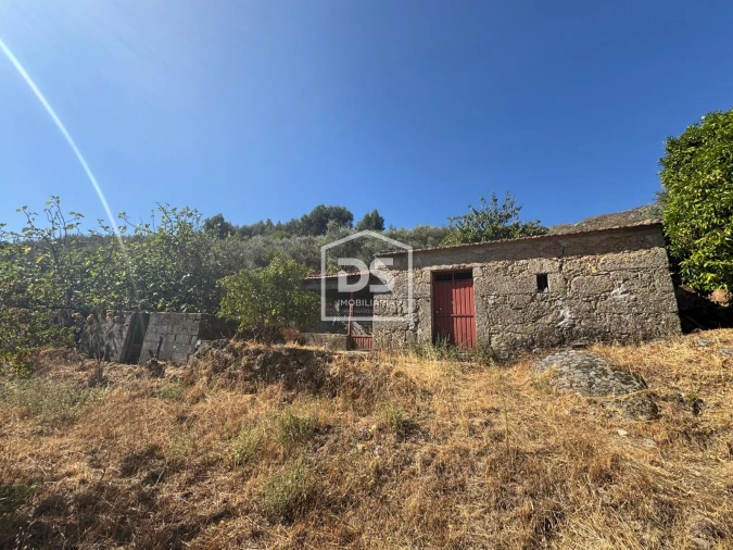 Quinta T0 para Venda em Vela Foto 16