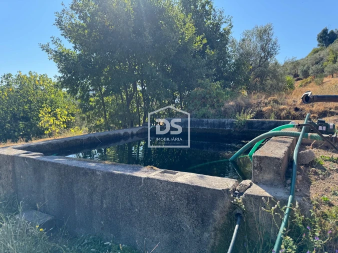 Quinta T0 para Venda em Vela Foto 4